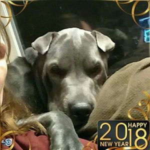 Meet your Posher, Angela